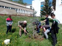 Enviromentálne aktivity v SPŠ Enviromentálne aktivity v SPŠ