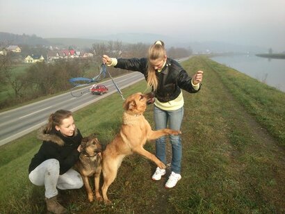 Zbierka pre útulok HAFKÁČI