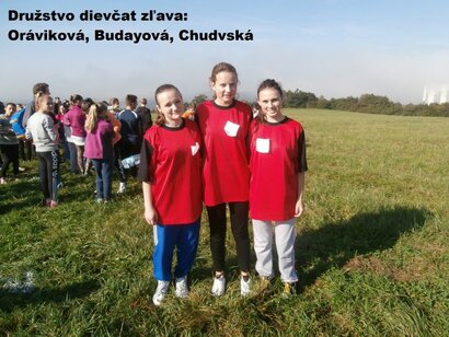 Cezpoľný beh - okresné kolo