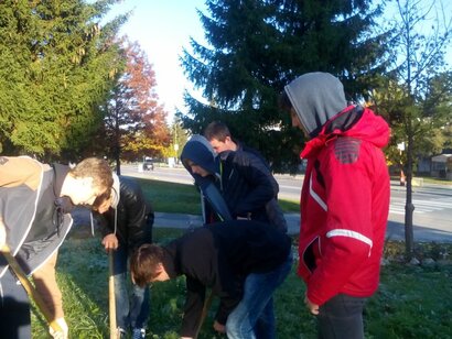 Stredoeurópsky Deň stromov