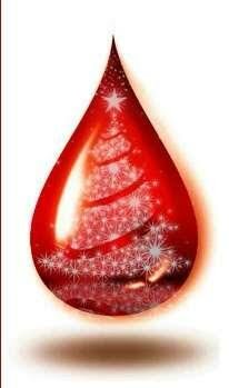 Vianočná kvapka krvi 