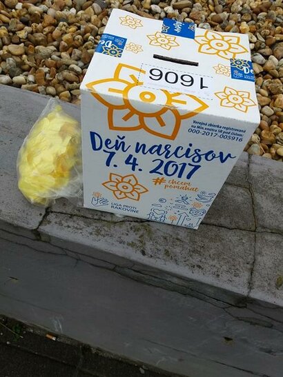 Deň narcisov 2017