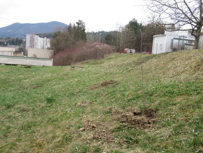 Saďme stromy a robme svet lepším