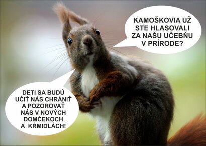 Vlastivedné múzeum vypracovalo projekt vonkajšej prírodovednej učebne