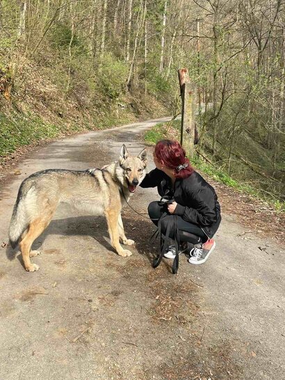 Návšteva Hafkáčov