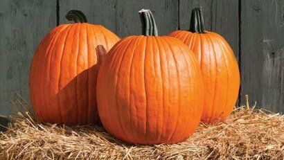 Deň darov jesene 7.11.2023