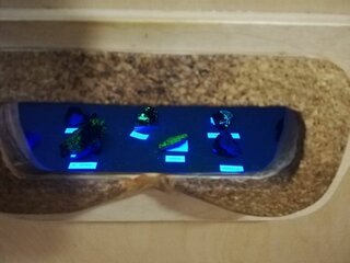 308138431_754128948982998_7142583960300778834_n