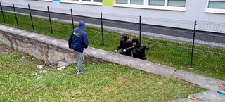 339705867_768575534835659_7010119657061514236_n