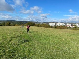 0b818658-d1aa-4b0d-8515-2b0c2f3b0b35