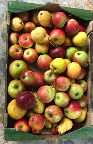 37711c38-0fd6-4ceb-a807-dc761b2c5092