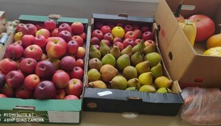 52bdefa6-08e9-4001-bc84-98aa0e30fd0e