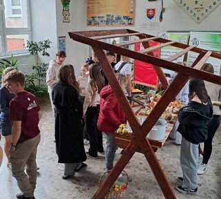 7bba6267-93d4-4f6c-9fdc-0381f419b746