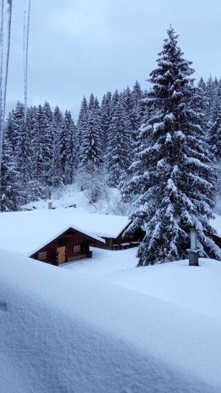 328918223_2544409172366676_8923867957822565478_n