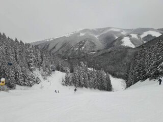 329105814_450012577246399_7420880540087325444_n