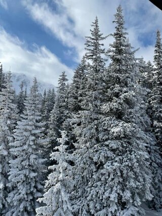 48a17c2e-b674-4d61-b339-443082925e73