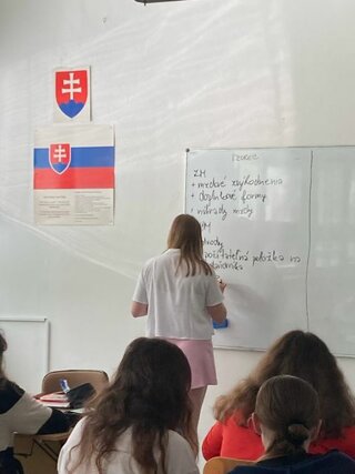 377d7ed6-5cad-4ed5-bf21-00ebc3b8accc.JPG (1)