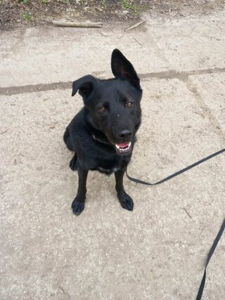 340911313_752004729918382_848279764955761747_n