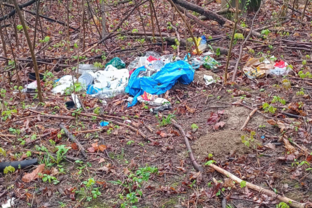 Zväčšiť fotografiu - 