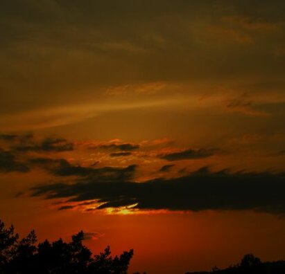 FOTOSÚŤAŽ - Letné inšpirácie