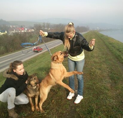 HAFKÁČI - študenti pomáhajú